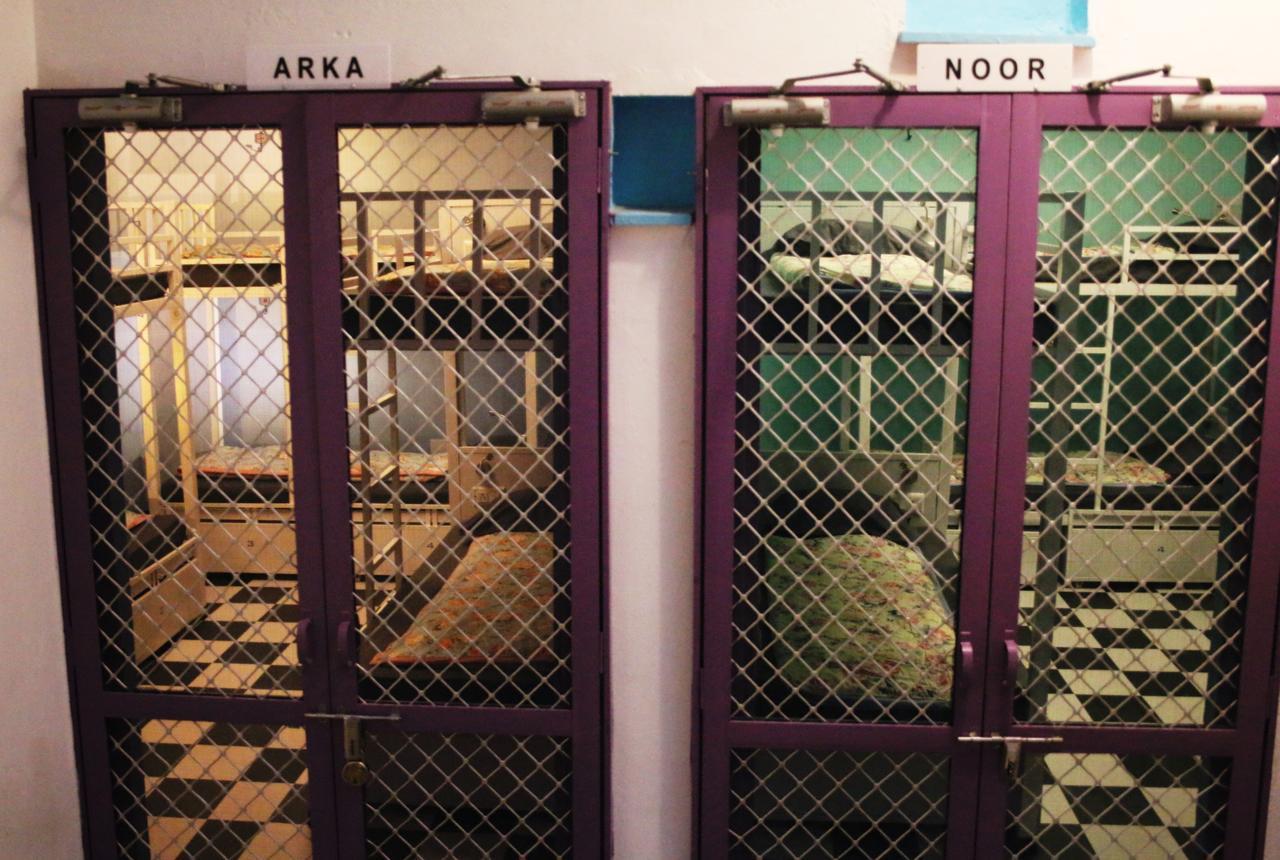 Gypsy Child Lake Hostel Udaipur Bagian luar foto